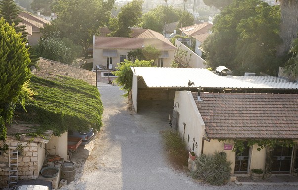 חאן סמדר - ������ �זכרון יעקב - ������ ����